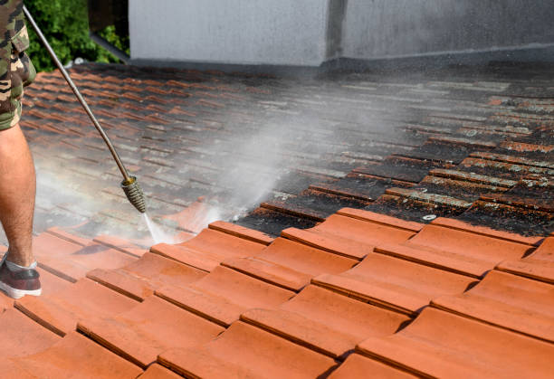 Best Concrete Pressure Washing  in Winnemucca, NV