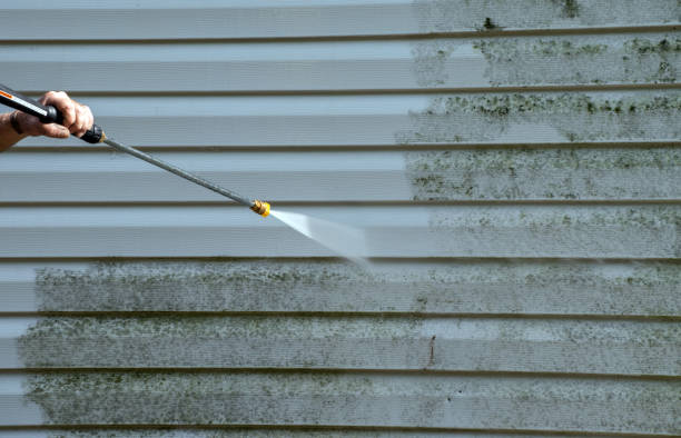 Best Fence Pressure Washing  in Winnemucca, NV