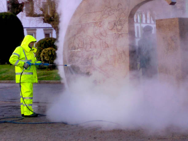 Best Pressure Washing Driveway  in Winnemucca, NV